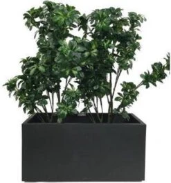 Elho Vivo Matt Finish Lang Wielen 90 - Grote Staande Plantenbak Voor Binnen & Buiten - Gemaakt Van Gereycled Plastic - L 39 X W 88 X H 41 Cm - Zwart 14 Elho Vivo Matt Finish Lang Wielen 90 - Grote Staande Plantenbak Voor Binnen & Buiten - Gemaakt Van Gereycled Plastic - L 39 X W 88 X H 41 Cm - Zwart -Tuin En Buiten 1124x1200 1