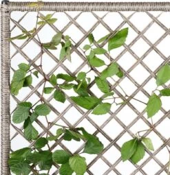 Casaria Polyrattan Bloembak – 3 Bakken Klimophek - Crème -Tuin En Buiten 1163x1200 2