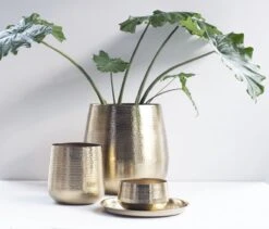 Gina Da - Bloempot - Karakter - Goud - Metaal - 15 Cm Hoog -Tuin En Buiten 1200x1027