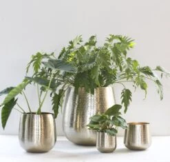 Gina Da - Bloempot - Karakter - Goud - Metaal - 15 Cm Hoog -Tuin En Buiten 1200x1142 1