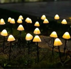 Cynergie - Tuinverlichting Op Zonneenergie - 20 X Led Lampen - Solar Lampjes Met Paddenstoelen - Kerstverlichting Buiten 12 Cynergie - Tuinverlichting Op Zonneenergie - 20 X Led Lampen - Solar Lampjes Met Paddenstoelen - Kerstverlichting Buiten -Tuin En Buiten 1200x1167