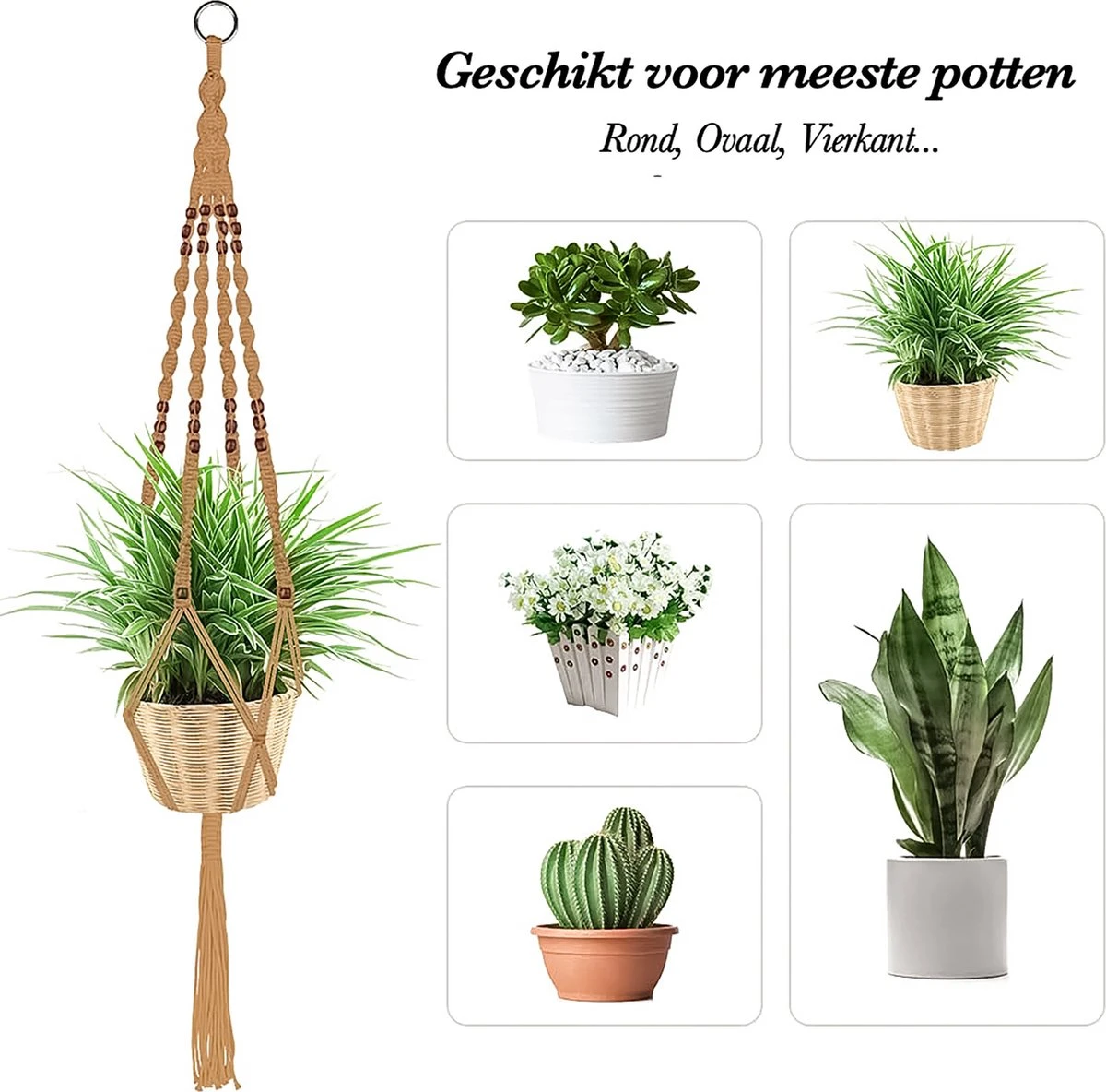 4 Stuks Luxe Jute Plantenhangers - Boho Handgeweven Katoen Hangpot Voor Binnen/Buiten - Hangende Bloempot Met Kralen - Macramé Touw/Koord Hangplant Houder - Bohemian Wandhanger Decoratie - Plant Hanger - Verticale Tuin Bloempothouder Planthanger 6 4 Stuks Luxe Jute Plantenhangers - Boho Handgeweven Katoen Hangpot Voor Binnen/Buiten - Hangende Bloempot Met Kralen - Macramé Touw/Koord Hangplant Houder - Bohemian Wandhanger Decoratie - Plant Hanger - Verticale Tuin Bloempothouder Planthanger - Afbeelding 6
