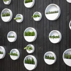 Langwerpige Witte Bloempot Van Naturn Living | Plantenbak | Bloempotten Voor Binnen En Buiten | Wit 6 Langwerpige Witte Bloempot Van Naturn Living | Plantenbak | Bloempotten Voor Binnen En Buiten | Wit -Tuin En Buiten 1200x1195 4