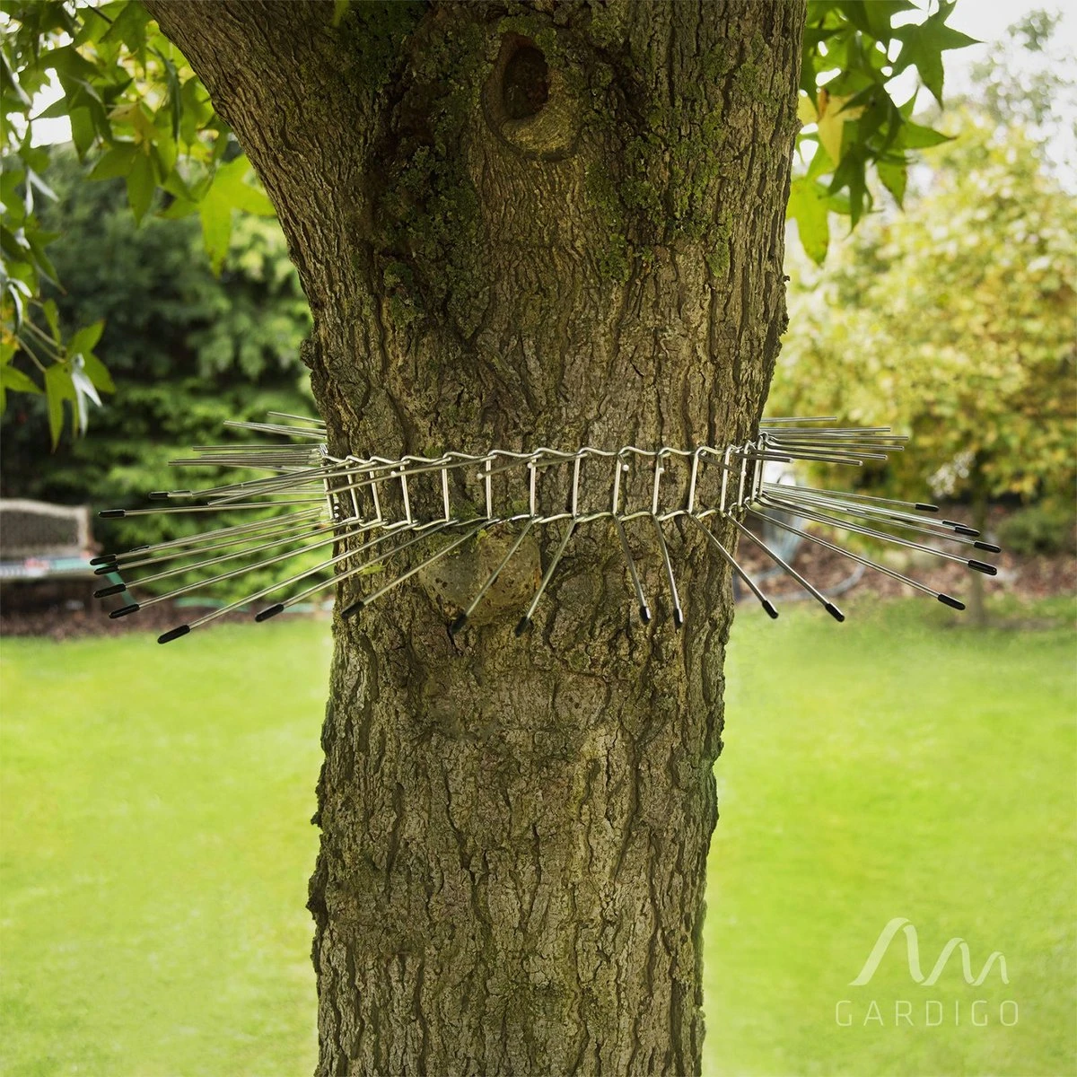 Gardigo Kattenafweergordel 6 Gardigo Kattenafweergordel - Afbeelding 6