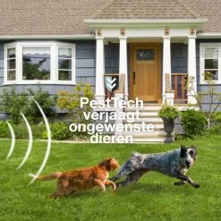 Pest-Tech PT-221 | Ultrasone Kattenverjager Op Zonneenergie | Kattenschrik | Marterverjager | Dierenverjager | Kattenafweermiddel | Ongedierte Verjager - Met USB Oplaadkabel -Tuin En Buiten 1200x1200 339