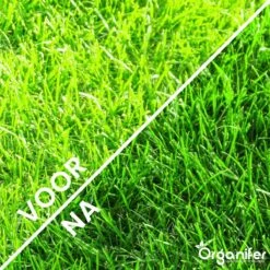 Gazonmest All-In-One (20Kg - Voor 400m2) Voor Een Diepgroen Sterk Gazon Zonder Mos En Onkruid - Complete Meststof Met Kalk En Grasversterker - Organifer -Tuin En Buiten 1200x1200 506