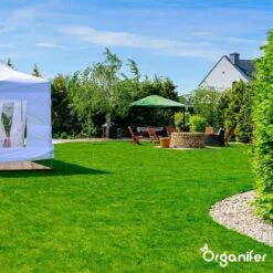 Gazonmest All-In-One (20Kg - Voor 400m2) Voor Een Diepgroen Sterk Gazon Zonder Mos En Onkruid - Complete Meststof Met Kalk En Grasversterker - Organifer -Tuin En Buiten 1200x1200 513