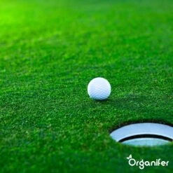 Gazonmest All-In-One (20Kg - Voor 400m2) Voor Een Diepgroen Sterk Gazon Zonder Mos En Onkruid - Complete Meststof Met Kalk En Grasversterker - Organifer -Tuin En Buiten 1200x1200 514