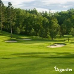 Gazonmest All-In-One (20Kg - Voor 400m2) Voor Een Diepgroen Sterk Gazon Zonder Mos En Onkruid - Complete Meststof Met Kalk En Grasversterker - Organifer -Tuin En Buiten 1200x1200 515