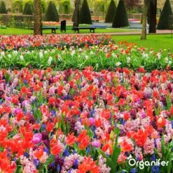 Lavagruis Uit Eifel Oergesteente (20Kg Voor 200m2) Grof Lavameel 0-2mm - Organifer -Tuin En Buiten 1200x1200 524