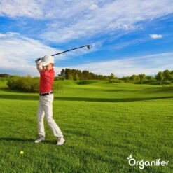 Lavagruis Uit Eifel Oergesteente (20Kg Voor 200m2) Grof Lavameel 0-2mm - Organifer -Tuin En Buiten 1200x1200 525