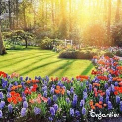 Lavagruis Uit Eifel Oergesteente (20Kg Voor 200m2) Grof Lavameel 0-2mm - Organifer -Tuin En Buiten 1200x1200 532