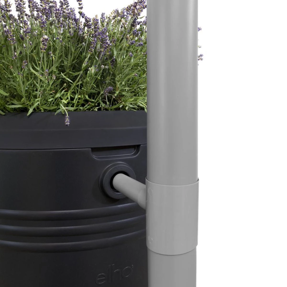 Elho Green Basics Regenton - Regenton - Living Black - Buiten - 200 Liter 15 Elho Green Basics Regenton - Regenton - Living Black - Buiten - 200 Liter - Afbeelding 15