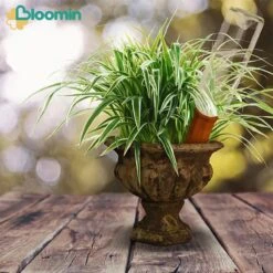 Bloomin Waterdruppelaar Van Terracotta - Waterdruppelaar Voor Planten - Druppelsysteem - Irrigatiesysteem - Watergeefsysteem - Bewateringssysteem - 8 Stuks -Tuin En Buiten 1200x1200 686