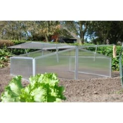 Royal Well Broeikas Silver Thyme -Tuin En Buiten 1200x1200 722