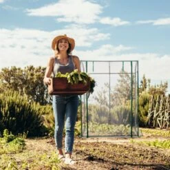 Relaxdays Tomatenkas 170 X 130 X 75 Cm - Folie Tuinkas - Grote Tomaten Kweekkas - Foliekas 15 Relaxdays Tomatenkas 170 X 130 X 75 Cm - Folie Tuinkas - Grote Tomaten Kweekkas - Foliekas -Tuin En Buiten 1200x1200 732