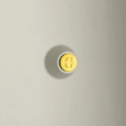 Elho Vivo Structure Finish Lang 90 - Plantenbak Voor Binnen & Buiten - Ø 88 X H 41 - Wit 24 Elho Vivo Structure Finish Lang 90 - Plantenbak Voor Binnen & Buiten - Ø 88 X H 41 - Wit -Tuin En Buiten 1200x1200 742