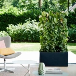 Elho Vivo Matt Finish Lang Wielen 90 - Grote Staande Plantenbak Voor Binnen & Buiten - Gemaakt Van Gereycled Plastic - L 39 X W 88 X H 41 Cm - Zwart 16 Elho Vivo Matt Finish Lang Wielen 90 - Grote Staande Plantenbak Voor Binnen & Buiten - Gemaakt Van Gereycled Plastic - L 39 X W 88 X H 41 Cm - Zwart -Tuin En Buiten 1200x1200 745