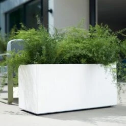 Elho Vivo Matt Finish Lang Wielen 90 - Grote Staande Plantenbak Voor Binnen & Buiten - Gemaakt Van Gereycled Plastic - L 39 X W 88 X H 41 Cm - Wit -Tuin En Buiten 1200x1200 748