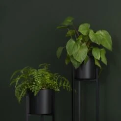 QUVIO Plantenstandaard Inclusief Pot - Staande Plantenbak - Metaal - Plantenbak - Plantenhouders - Planten Zuilen - Voor Buiten - Bloempot - 22 X 22 X 90 Cm - Zwart 9 QUVIO Plantenstandaard Inclusief Pot - Staande Plantenbak - Metaal - Plantenbak - Plantenhouders - Planten Zuilen - Voor Buiten - Bloempot - 22 X 22 X 90 Cm - Zwart -Tuin En Buiten 1200x1200 754