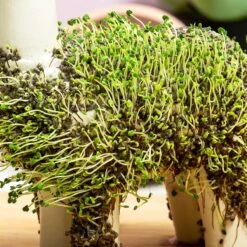 Tuin En Buiten -Tuin En Buiten 1200x1200 771