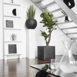 Capi Europe - Bloempot Vierkant Smooth NL - 50x50x50 - Zwart - Voor Binnen En Buiten - KBL904 -Tuin En Buiten 1200x1200 801