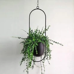 Be-Inspired® Hangende Bloempot Ovaal - Bloempot Binnen - Voor Hangplant – Plant Bloem Pot Met Opknoping – Plantenhanger - Plantenbak - Industrieel – Scandinavisch - Metaal - Zwart 9 Be-Inspired® Hangende Bloempot Ovaal - Bloempot Binnen - Voor Hangplant – Plant Bloem Pot Met Opknoping – Plantenhanger - Plantenbak - Industrieel – Scandinavisch - Metaal - Zwart -Tuin En Buiten 1200x1200 805