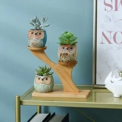Luxe Bamboe Houten Boom Met 3 Keramiek Uil Bloempotten/Plantenpotten Op Standaard/Voet Voor Binnen En Buiten - Modern Design Bloempot/Plantenpot Op Poten/Pootjes-Plantenbak Mini Cactus Nep Plant Pot Houder - Kleine Bloembakken Plantenrek/Plantenkurk 11 Luxe Bamboe Houten Boom Met 3 Keramiek Uil Bloempotten/Plantenpotten Op Standaard/Voet Voor Binnen En Buiten - Modern Design Bloempot/Plantenpot Op Poten/Pootjes-Plantenbak Mini Cactus Nep Plant Pot Houder - Kleine Bloembakken Plantenrek/Plantenkurk -Tuin En Buiten 1200x1200 810