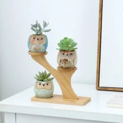 Luxe Bamboe Houten Boom Met 3 Keramiek Uil Bloempotten/Plantenpotten Op Standaard/Voet Voor Binnen En Buiten - Modern Design Bloempot/Plantenpot Op Poten/Pootjes-Plantenbak Mini Cactus Nep Plant Pot Houder - Kleine Bloembakken Plantenrek/Plantenkurk 13 Luxe Bamboe Houten Boom Met 3 Keramiek Uil Bloempotten/Plantenpotten Op Standaard/Voet Voor Binnen En Buiten - Modern Design Bloempot/Plantenpot Op Poten/Pootjes-Plantenbak Mini Cactus Nep Plant Pot Houder - Kleine Bloembakken Plantenrek/Plantenkurk -Tuin En Buiten 1200x1200 811