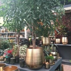 Merkloos Bloempot Karakter Goud - L -Tuin En Buiten 1200x1200 821