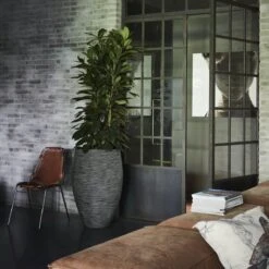 Capi Europe - Vaas Elegant Deluxe Rib NL - 40x60 - Antraciet - Voor Binnen En Buiten - KOFZ1131 17 Capi Europe - Vaas Elegant Deluxe Rib NL - 40x60 - Antraciet - Voor Binnen En Buiten - KOFZ1131 -Tuin En Buiten 1200x1200 827