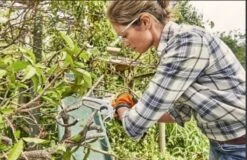 Stihl Accu Mini Kettingzaag SET - Snoeischaar - Snoeizaag - Hand Kettingzaag - Professioneel- Hovenier- Tuinman 11 Stihl Accu Mini Kettingzaag SET - Snoeischaar - Snoeizaag - Hand Kettingzaag - Professioneel- Hovenier- Tuinman -Tuin En Buiten 1200x779