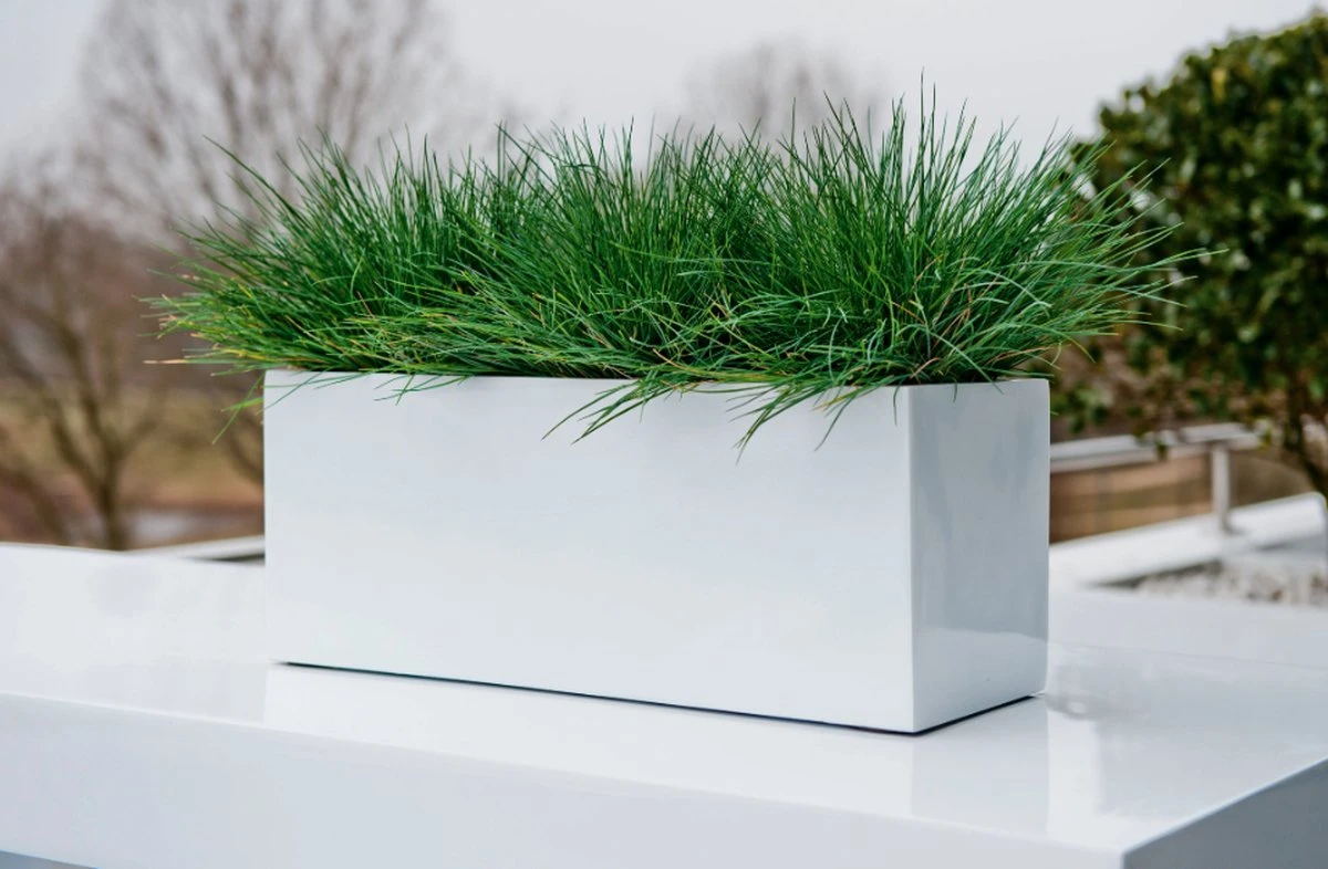 Langwerpige Witte Bloempot Van Naturn Living | Plantenbak | Bloempotten Voor Binnen En Buiten | Wit 1 Langwerpige Witte Bloempot Van Naturn Living | Plantenbak | Bloempotten Voor Binnen En Buiten | Wit