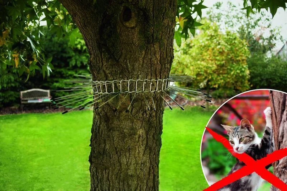 Gardigo Kattenafweergordel 2 Gardigo Kattenafweergordel - Afbeelding 2