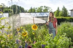 GARDENA - Comfort Broeskop - 5 Straalsoorten - Grijs 27 GARDENA - Comfort Broeskop - 5 Straalsoorten - Grijs -Tuin En Buiten 1200x800 120