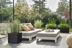 Elho Vivo Next Vierkant 40 - Plantenbak Voor Binnen & Buiten - Ø 39.0 X H 37.9 Cm - Zwart/Living Black 22 Elho Vivo Next Vierkant 40 - Plantenbak Voor Binnen & Buiten - Ø 39.0 X H 37.9 Cm - Zwart/Living Black -Tuin En Buiten 1200x800 168