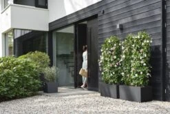 Elho Vivo Next Vierkant 40 - Plantenbak Voor Binnen & Buiten - Ø 39.0 X H 37.9 Cm - Zwart/Living Black 23 Elho Vivo Next Vierkant 40 - Plantenbak Voor Binnen & Buiten - Ø 39.0 X H 37.9 Cm - Zwart/Living Black -Tuin En Buiten 1200x800 169