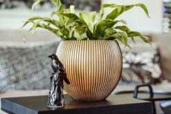 Capi Europe - Vaas Bol Groove XL - 63x51 - Goud - Bloempot Voor Binnen - Opening ⌀42 - GVGB271 -Tuin En Buiten 1200x800 174