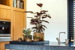 Capi Europe - Bloempot Bol Groove - 23x21 - Goud - Bloempot Voor Binnen - BGVGB134 -Tuin En Buiten 1200x800 175