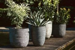 Capi Europe - Bloempot Bol Rib NL - 35x34 - Antraciet - Voor Binnen En Buiten - KOFZ932 -Tuin En Buiten 1200x800 176