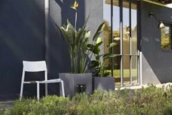 Capi Europe - Bloempot Vierkant Smooth NL - 50x50x50 - Zwart - Voor Binnen En Buiten - KBL904 -Tuin En Buiten 1200x800 179