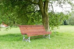 MaximaVida Tuinbank Budapest Oil 170 Cm - Uit Exclusief Mahoniehout -Tuin En Buiten 1200x800 66