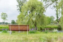 MaximaVida Tuinbank Budapest Oil 170 Cm - Uit Exclusief Mahoniehout -Tuin En Buiten 1200x800 67