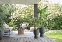 Elho Pure Coupe 41 - Bloempot Voor Binnen & Buiten - Ø 41.3 X H 57.9 Cm - Zwart/Zwart 18 Elho Pure Coupe 41 - Bloempot Voor Binnen & Buiten - Ø 41.3 X H 57.9 Cm - Zwart/Zwart -Tuin En Buiten 1200x805 2