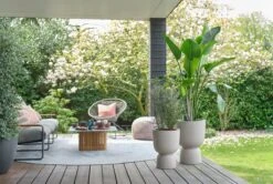 Elho Pure Coupe 35 - Bloempot Voor Binnen & Buiten - Ø 34.9 X H 49.0 Cm - Beige/Balanced Beige 35 Elho Pure Coupe 35 - Bloempot Voor Binnen & Buiten - Ø 34.9 X H 49.0 Cm - Beige/Balanced Beige -Tuin En Buiten 1200x808 2