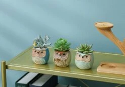 Luxe Bamboe Houten Boom Met 3 Keramiek Uil Bloempotten/Plantenpotten Op Standaard/Voet Voor Binnen En Buiten - Modern Design Bloempot/Plantenpot Op Poten/Pootjes-Plantenbak Mini Cactus Nep Plant Pot Houder - Kleine Bloembakken Plantenrek/Plantenkurk 12 Luxe Bamboe Houten Boom Met 3 Keramiek Uil Bloempotten/Plantenpotten Op Standaard/Voet Voor Binnen En Buiten - Modern Design Bloempot/Plantenpot Op Poten/Pootjes-Plantenbak Mini Cactus Nep Plant Pot Houder - Kleine Bloembakken Plantenrek/Plantenkurk -Tuin En Buiten 1200x840