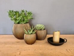 Capi Europe - Set Van 3 - Bloempot Binnen - Groove - - Goud - Bloempot Voor Binnen - BOX-BGVGB-3 -Tuin En Buiten 1200x912