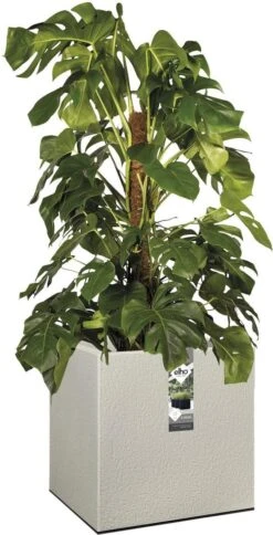 Elho Vivo Structure Finish Vierkant 40 - Plantenbak Voor Binnen & Buiten - Ø 39 X H 41 - Grijs/Warm Grijs -Tuin En Buiten 613x1200