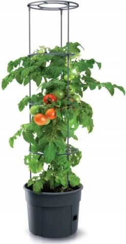 TOMATENPOT VOOR HET KWEKEN VAN TOMATEN PROSPERPLAST 28L 9 TOMATENPOT VOOR HET KWEKEN VAN TOMATEN PROSPERPLAST 28L -Tuin En Buiten 621x1200 3