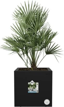 Elho Vivo Next Vierkant 40 - Plantenbak Voor Binnen & Buiten - Ø 39.0 X H 37.9 Cm - Zwart/Living Black 31 Elho Vivo Next Vierkant 40 - Plantenbak Voor Binnen & Buiten - Ø 39.0 X H 37.9 Cm - Zwart/Living Black -Tuin En Buiten 720x1200 1